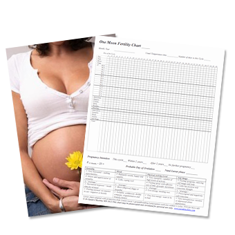 Fertility Chart | Gentle Natural Birth